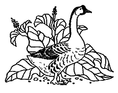 Новые кошки в доме - i_021.png