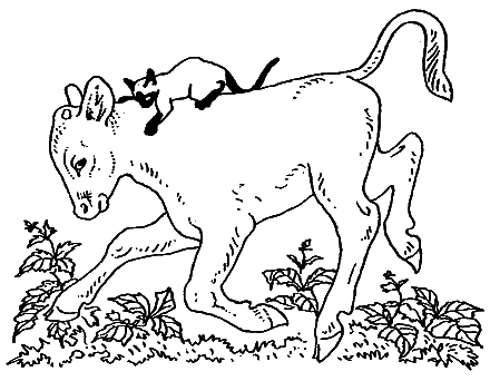 Новые кошки в доме - i_022.png