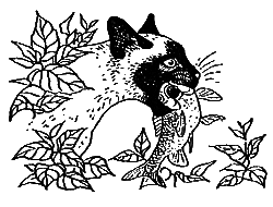 Новые кошки в доме - i_023.png