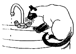 Новые кошки в доме - i_029.png