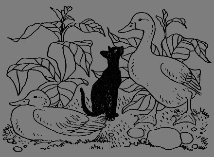 Новые кошки в доме - i_030.png