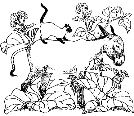 Новый мальчик - i_014.png