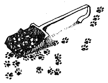 Новый мальчик - i_015.png