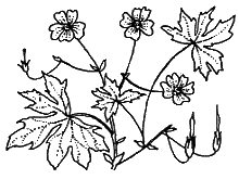 Новый мальчик - i_017.png