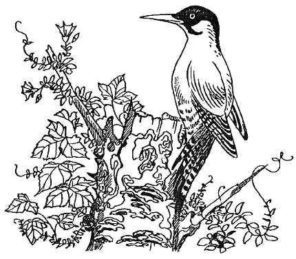 Новый мальчик - i_020.png