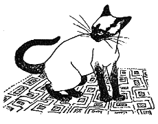 Новый мальчик - i_023.png