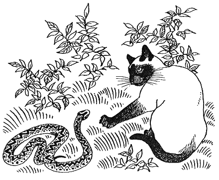 Новый мальчик - i_030.png