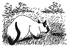 Новый мальчик - i_031.png