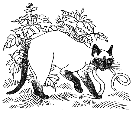 Хлопот полон рот - i_004.png