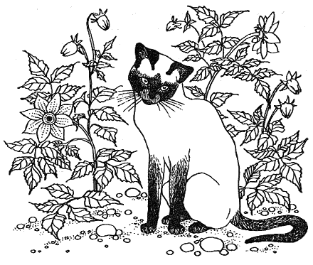 Хлопот полон рот - i_006.png