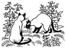 Хлопот полон рот - i_017.png