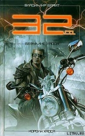 32.01. Безумие хаоса - автор Брайт Владимир 