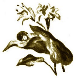 Стихи и сказки - i_020.jpg