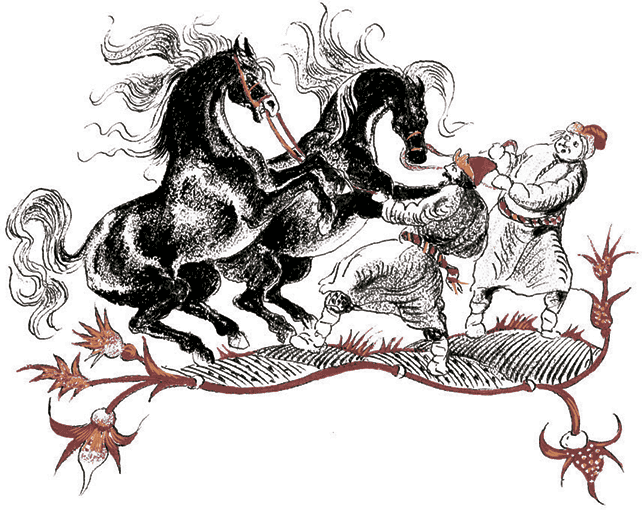 Конек-Горбунок - i_018.png