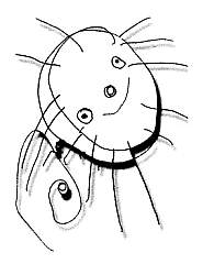 Куда жить - _01.jpg