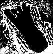 Пророчества майя: 2012 - i_010.png