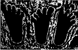 Пророчества майя: 2012 - i_011.png