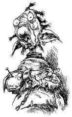 Академик Вокс - i_021.jpg