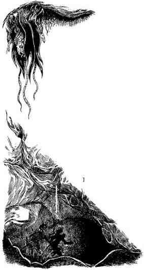 Академик Вокс - i_024.jpg