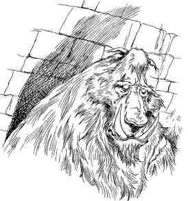 Академик Вокс - i_027.jpg