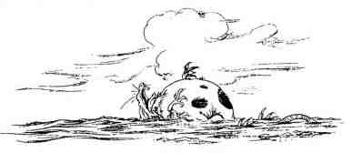 Академик Вокс - i_032.jpg