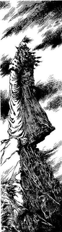 Вольная Пустошь - i_075.jpg