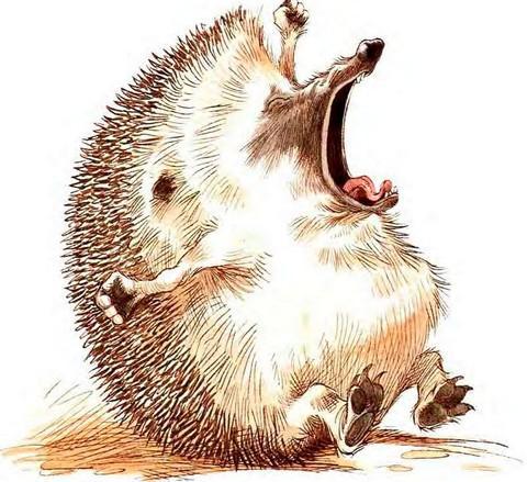 Кусочек зимы - i_006.jpg