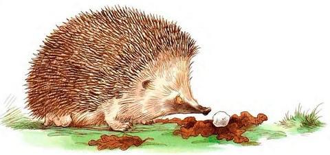 Кусочек зимы - i_028.jpg