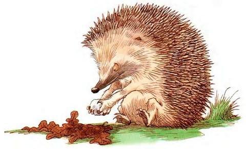 Кусочек зимы - i_029.jpg