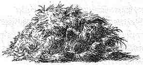 Опасный рейс - i_160.jpg