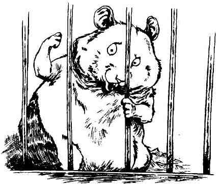 Пришельцы развлекаются - i_074.jpg