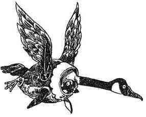 Фергус Крейн и огненные алмазы - i_111.jpg