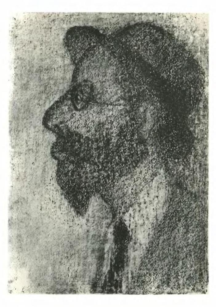 Тевье-молочник. Повести и рассказы - p4.jpg