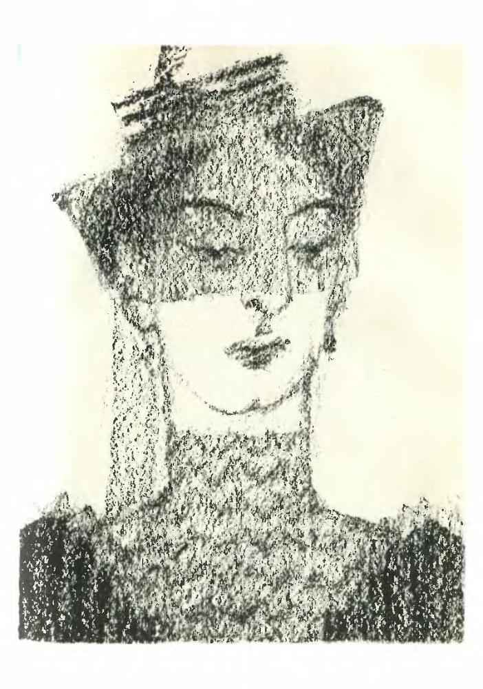 Тевье-молочник. Повести и рассказы - p5.jpg