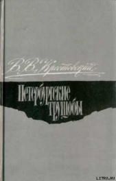 Петербургские трущобы. Том 1 - автор Крестовский Всеволод Владимирович 