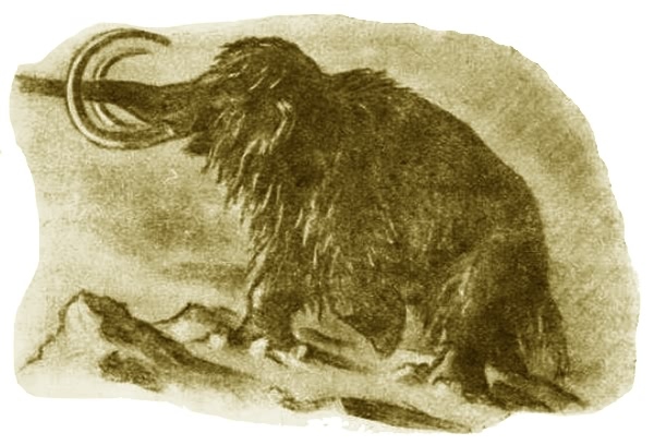 Выхухоль - i_005.jpg