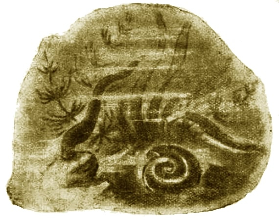 Выхухоль - i_007.jpg