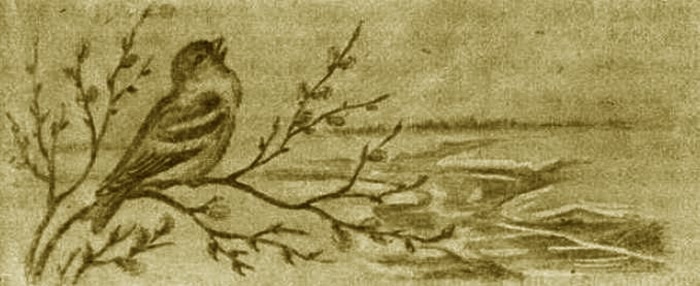 Выхухоль - i_013.jpg