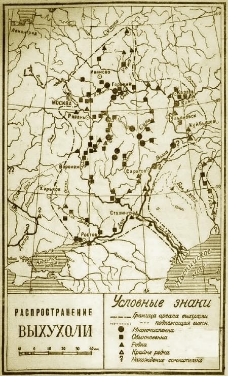 Выхухоль - i_025.jpg