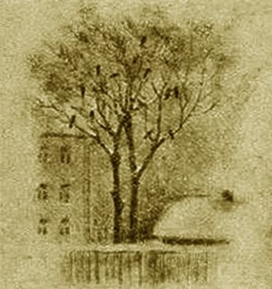 Грач. Галка. Сорока - i_006.jpg