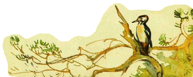 Домик на берёзе - i_004.png