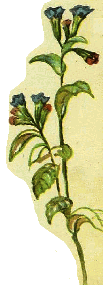 Домик на берёзе - i_019.png