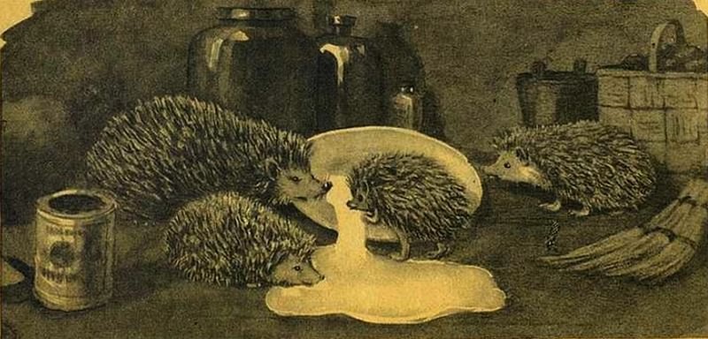 Колючая семейка - i_005.jpg