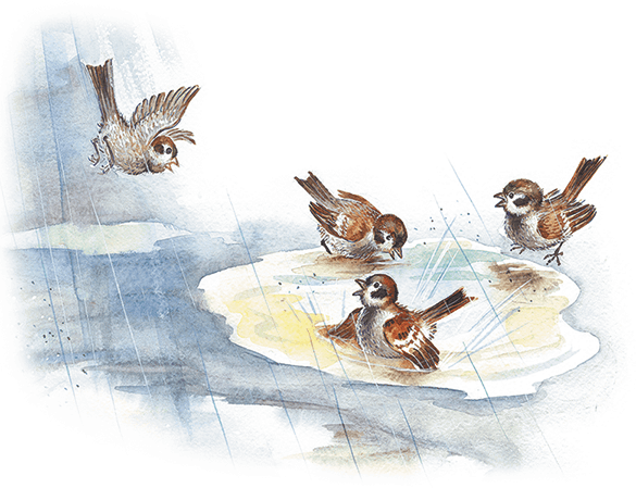 Лесной голосок (сборник) - i_004.png