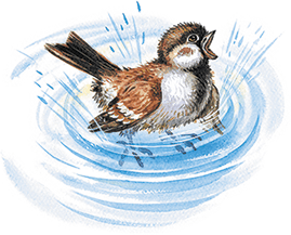 Лесной голосок (сборник) - i_005.png