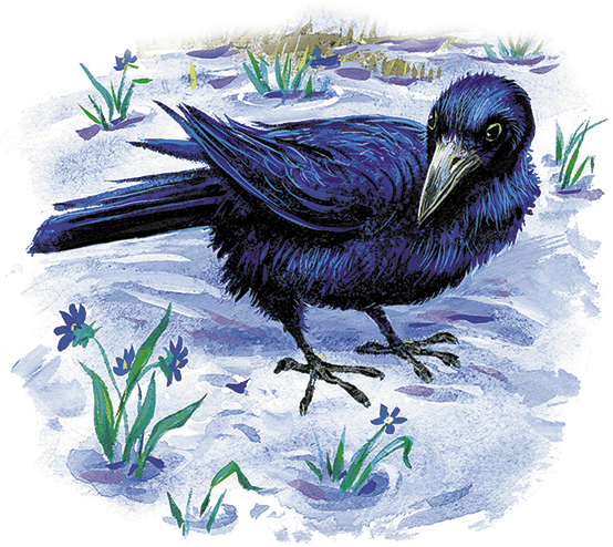 Лесной голосок (сборник) - i_007.png