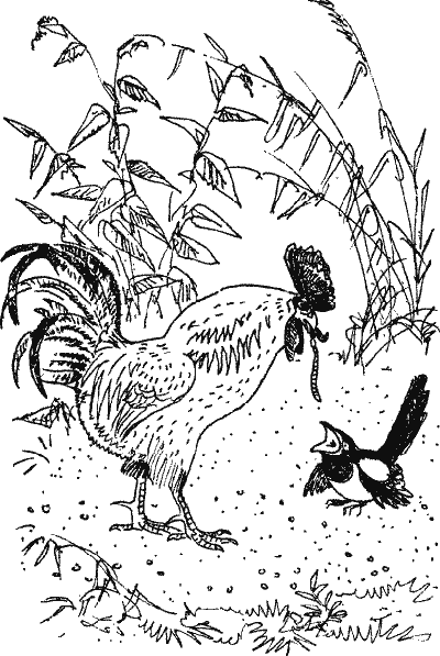 Лесной прадедушка (Рассказы о родной природе) - i_005.png