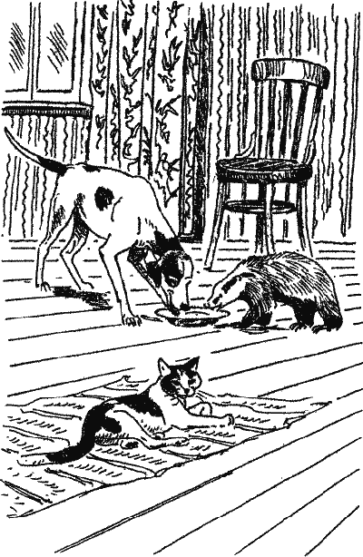 Лесной прадедушка (Рассказы о родной природе) - i_008.png