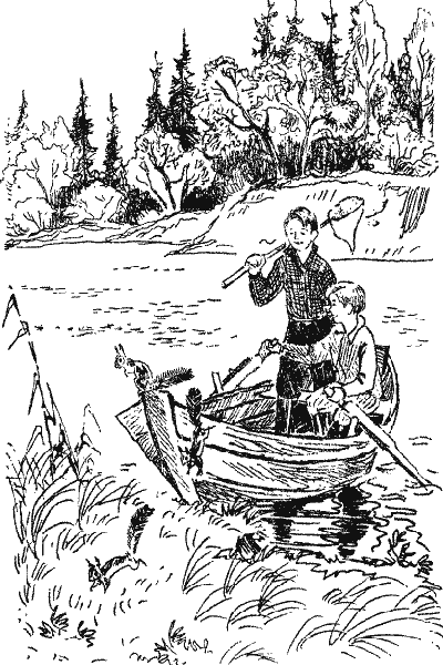 Лесной прадедушка (Рассказы о родной природе) - i_021.png