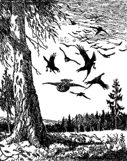 Рассказы охотника - i_006.jpg